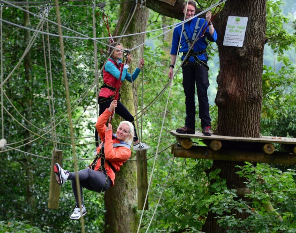 Come and enjoy a breathtaking treetop experience 