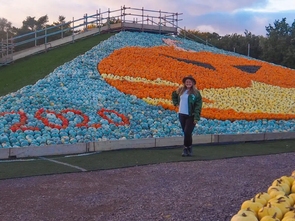 A place filled with pumpkins 