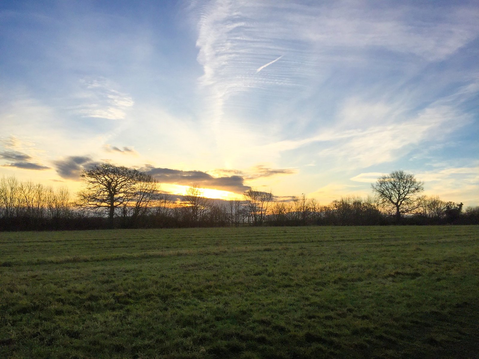 The Best Dog Walks In Essex iVisit