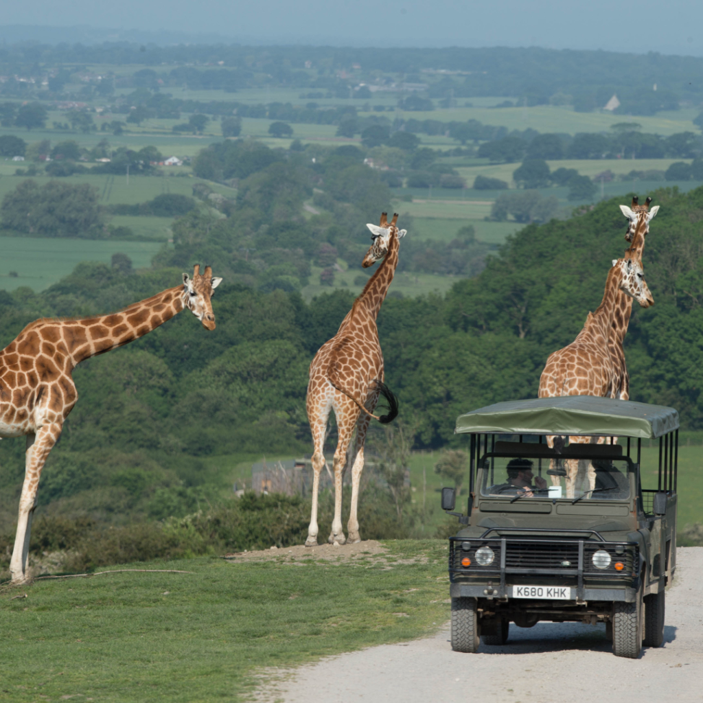 famous safari park uk