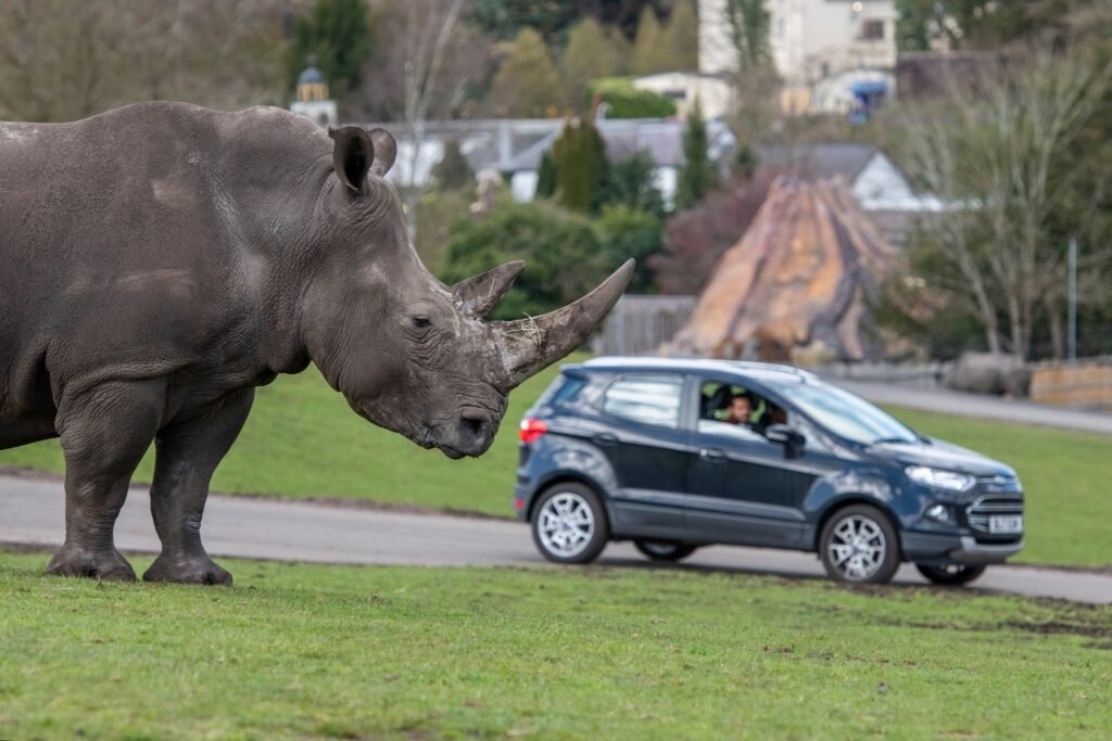 safari parks in england map